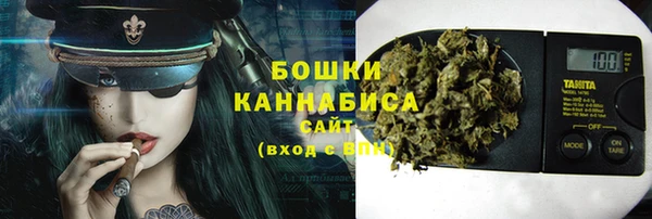 твердый Бронницы