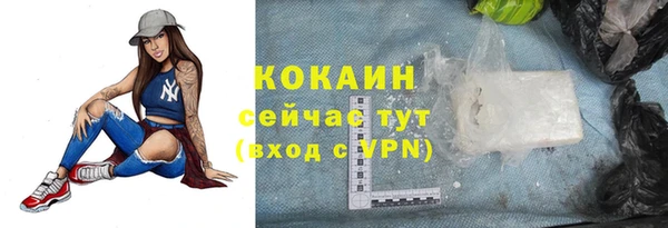 твердый Бронницы
