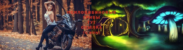 твердый Бронницы