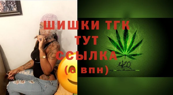дмт Бугульма