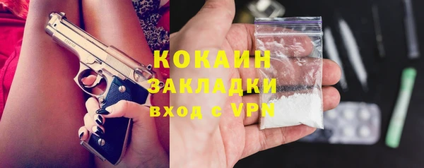 не бодяженный Бородино