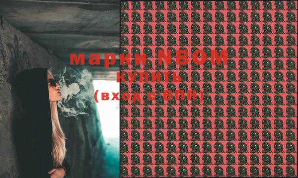 ECSTASY Богданович