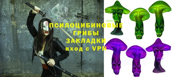дмт Бугульма