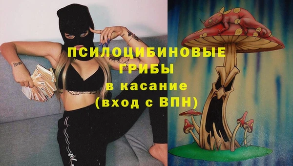 твердый Бронницы
