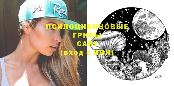 не бодяженный Бородино