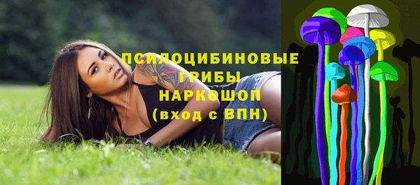 дмт Бугульма