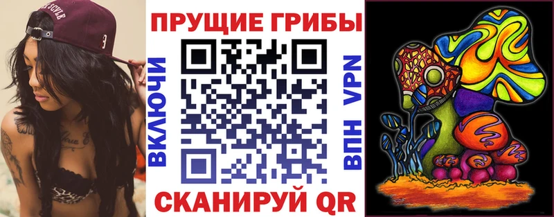 как найти наркотики  даркнет какой сайт  Псилоцибиновые грибы прущие грибы  Дагестанские Огни 